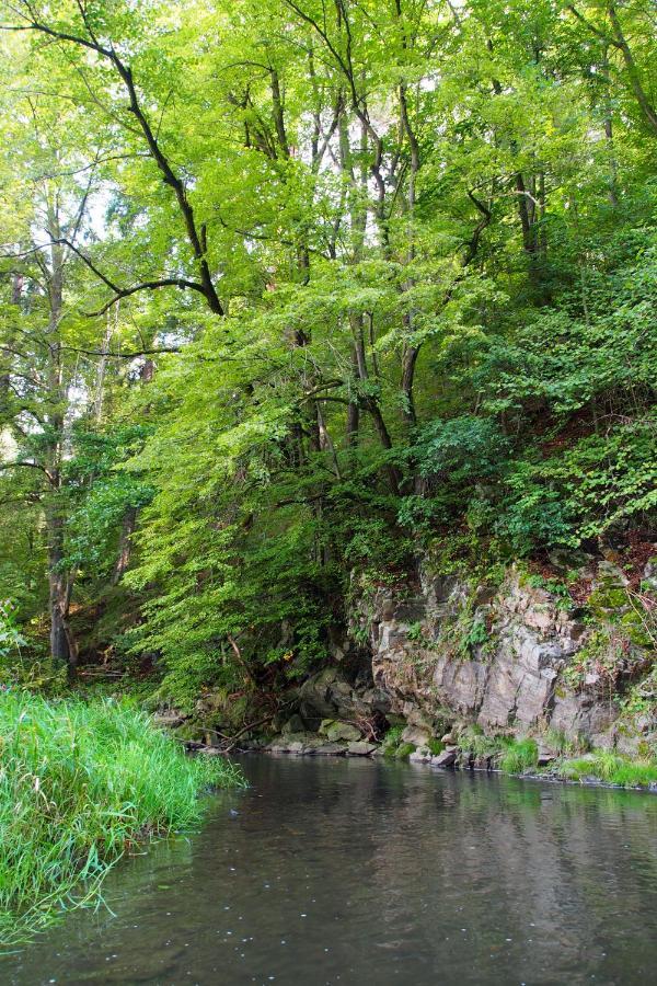 Camping Fox Cesky Krumlov Kájov Eksteriør billede